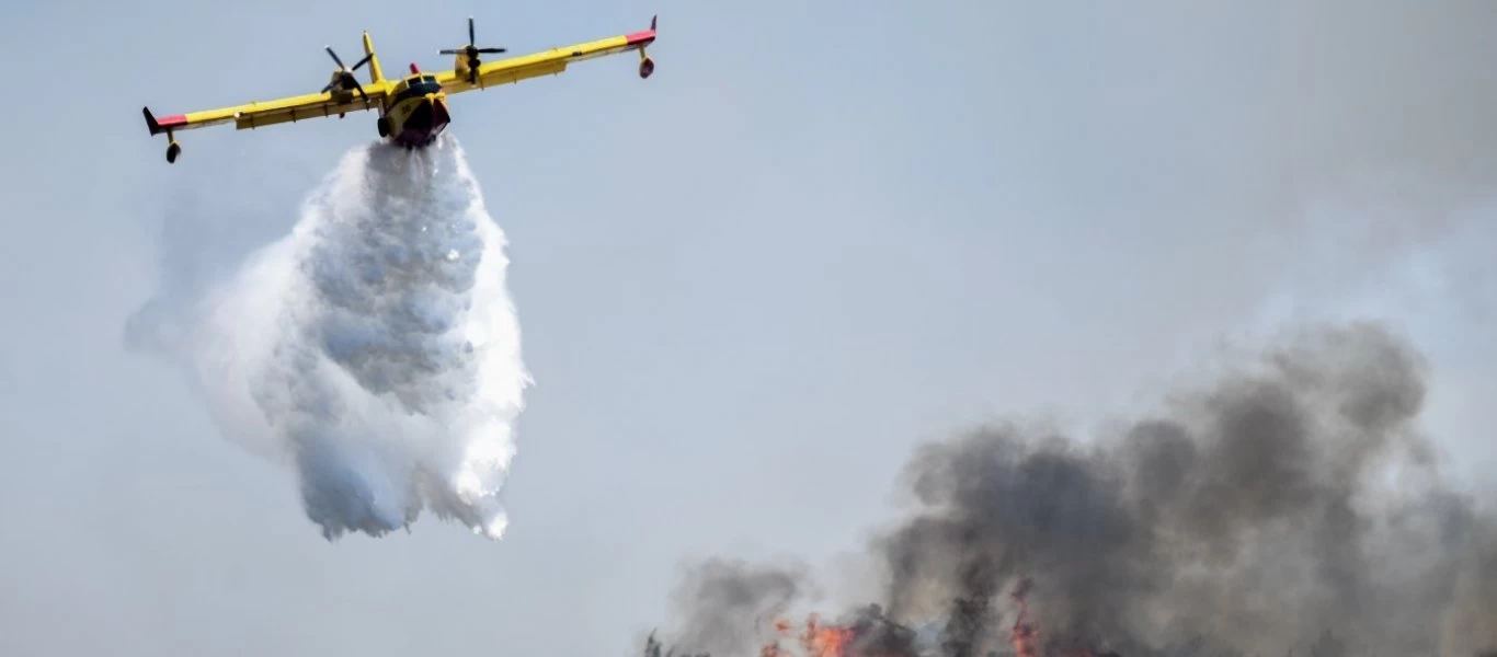 Πυρκαγιά ξέσπασε σε δασική έκταση στη Νεμέα - Επιχειρούν 44 πυροσβέστες